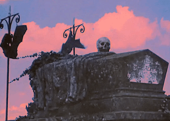 Swimsuit credit: Nyahallo || https://nyahallo.com/